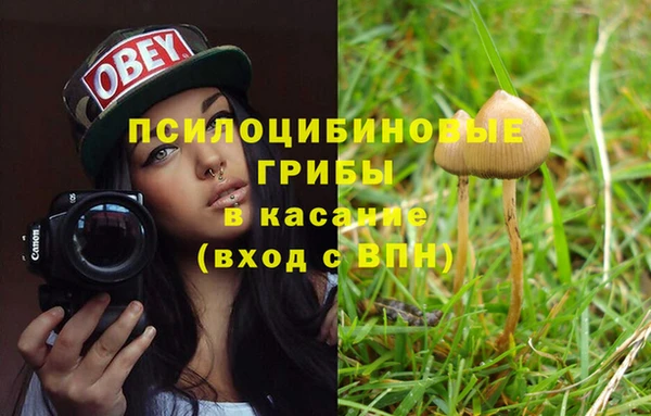 MDMA Богородск