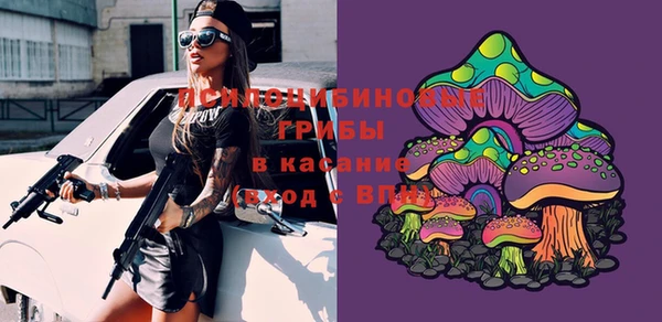 твердый Богородицк