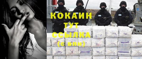 твердый Богородицк